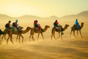 Marraquexe/Fez: Viagem de 3 dias ao deserto de Merzouga/Luxo/Opção de ATV