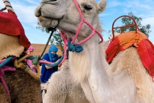 Marraquexe/Fez: Viagem de 3 dias ao deserto de Merzouga/Luxo/Opção de ATV