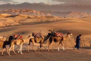 Marrakech: Full-Day Camel Riding, Quad Bike, & Spa Tour