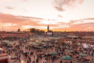 Marrakech Full-day excursion From Casablanca with Camel Ride