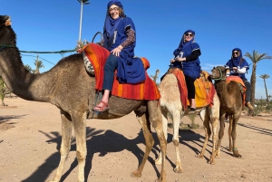 Marrakech Full-day excursion From Casablanca with Camel Ride
