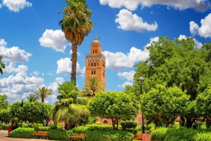 Marrakech dagexcursie vanuit Casablanca