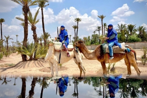 Marrakech dagexcursie vanuit Casablanca