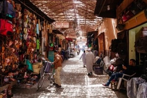 Marrakesz: całodniowa wycieczka z przewodnikiem po mieście i ogrodach