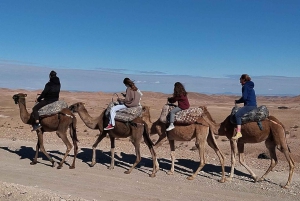 Marrakech : Fullt lunchpaket i Agafay-öknen