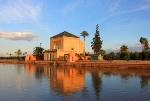 Marrakech: Glide Through the Red City on an EcoScooter Tour!