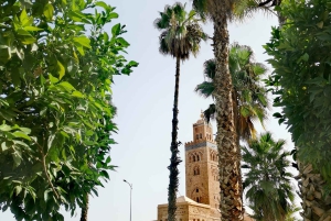 Marraquexe: Passeio de bicicleta guiado com um guia local