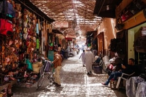 Marrakech: Guided City and Gardens Highlights Tour