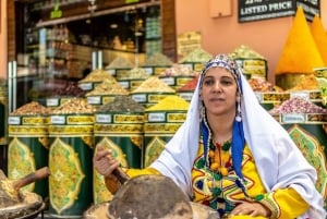Marrakech: Guided City and Gardens Highlights Tour