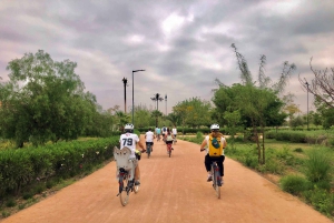 Marrakech: tour guidato della città in bicicletta - Cultura, colori e fascino