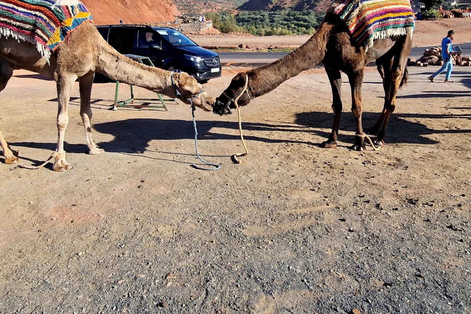 Marrakech: excursión de 1 día a las cascadas del valle de Ourika + almuerzo