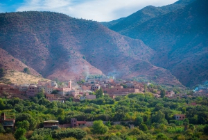 Marrakech: excursión de 1 día a las cascadas del valle de Ourika + almuerzo