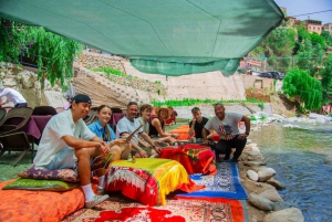 Marrakech: excursión de 1 día a las cascadas del valle de Ourika + almuerzo