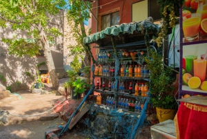 Marrakech: excursión de 1 día a las cascadas del valle de Ourika + almuerzo