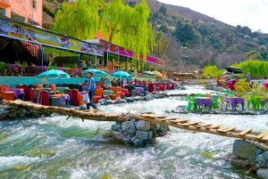 Marrakech: excursión de 1 día a las cascadas del valle de Ourika + almuerzo