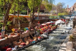 Marrakech: excursión de 1 día a las cascadas del valle de Ourika + almuerzo