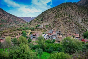 Marrakech: excursión de 1 día a las cascadas del valle de Ourika + almuerzo