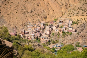 Marrakech: excursión de 1 día a las cascadas del valle de Ourika + almuerzo