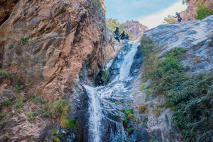 Marrakech: excursión de 1 día a las cascadas del valle de Ourika + almuerzo