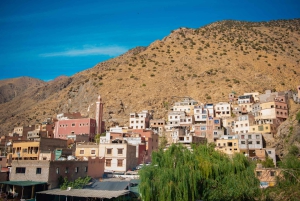 Marrakech: excursión de 1 día a las cascadas del valle de Ourika + almuerzo