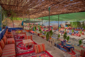 Marrakech: excursión de 1 día a las cascadas del valle de Ourika + almuerzo