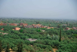 Marrakech: excursión de 1 día a las cascadas del valle de Ourika + almuerzo