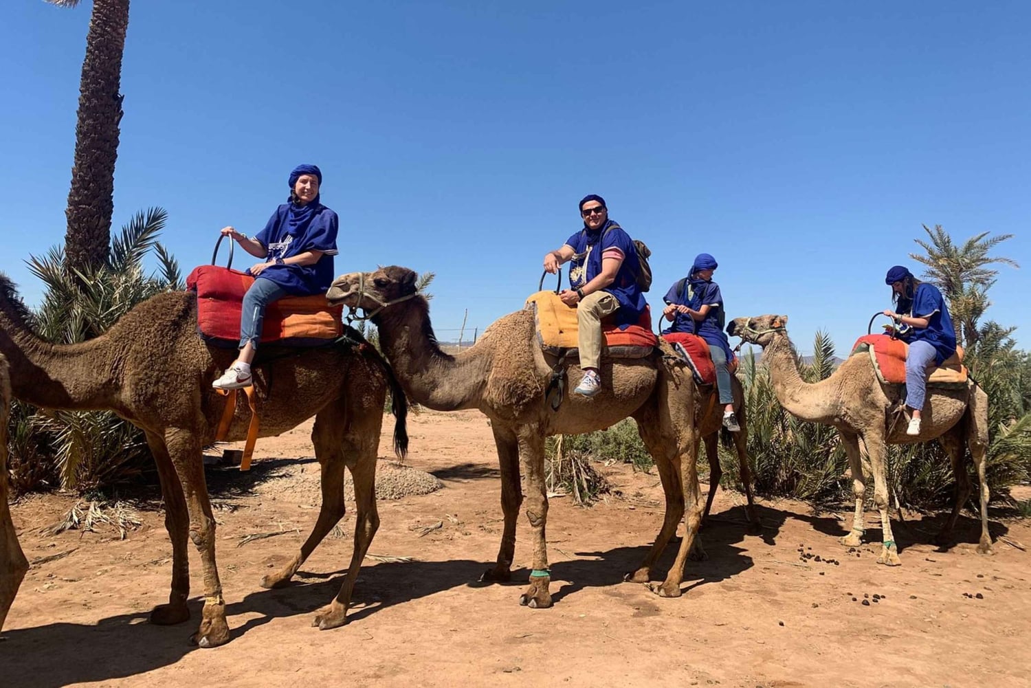 Marrakech: Guidad tur med fyrhjuling och kamelridning med te