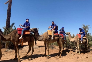 Marrakech: Passeio guiado de quadriciclo e camelo com chá