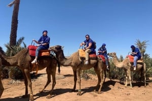 Marrakech: Guided Quad Bike & Camel Ride Tour with Breakfast