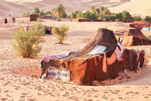 Marrakech: Half-Day Desert Quad & Dromedary Tour