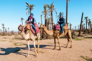 Marrakech: Halvdagstur med fyrhjuling och dromedar i öknen