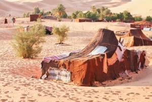 Marrakech: Tour di mezza giornata nel deserto in quad e dromedario