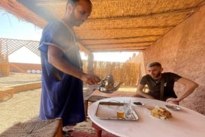 Marrakesz: Półdniowa wycieczka pustynnym quadem i dromaderem