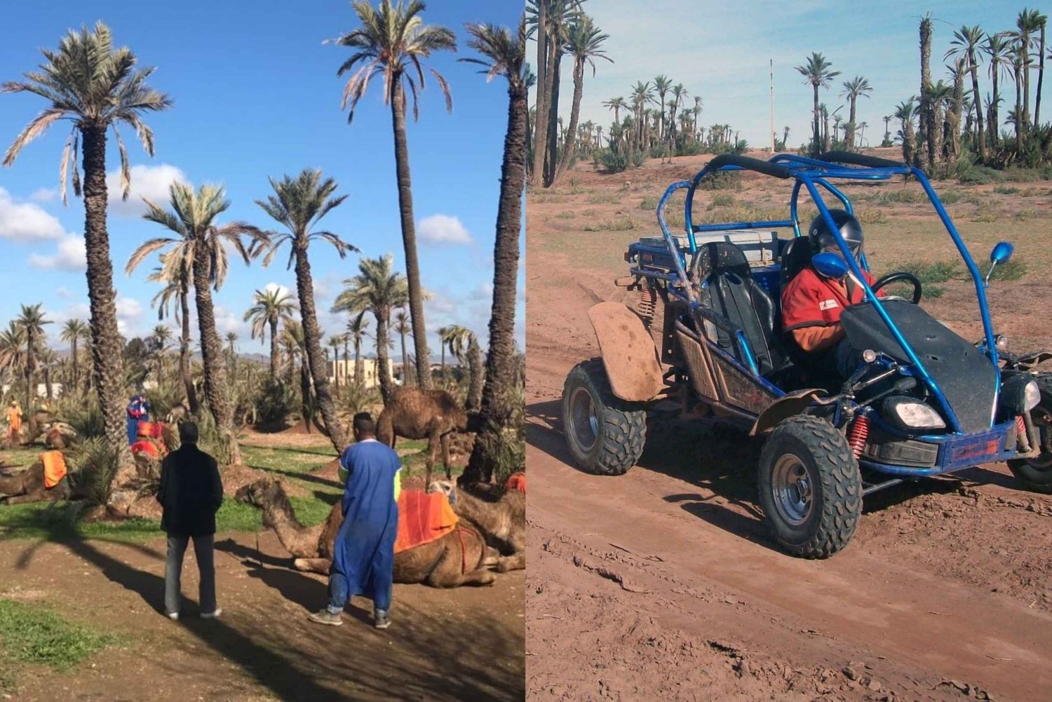 Marrakech: Excursión de medio día a las Dunas con buggy y paseo en camello
