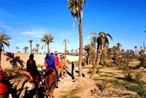 Marrakech: Excursión de medio día a las Dunas con buggy y paseo en camello