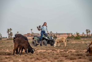 Marrakech: Half-Day Quad Bike Trip with Lunch & Hotel Pickup