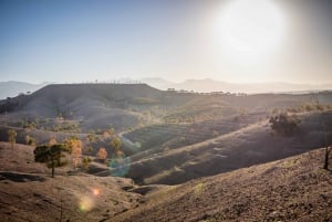 Marrakech: Half-Day Quad Bike Trip with Lunch & Hotel Pickup