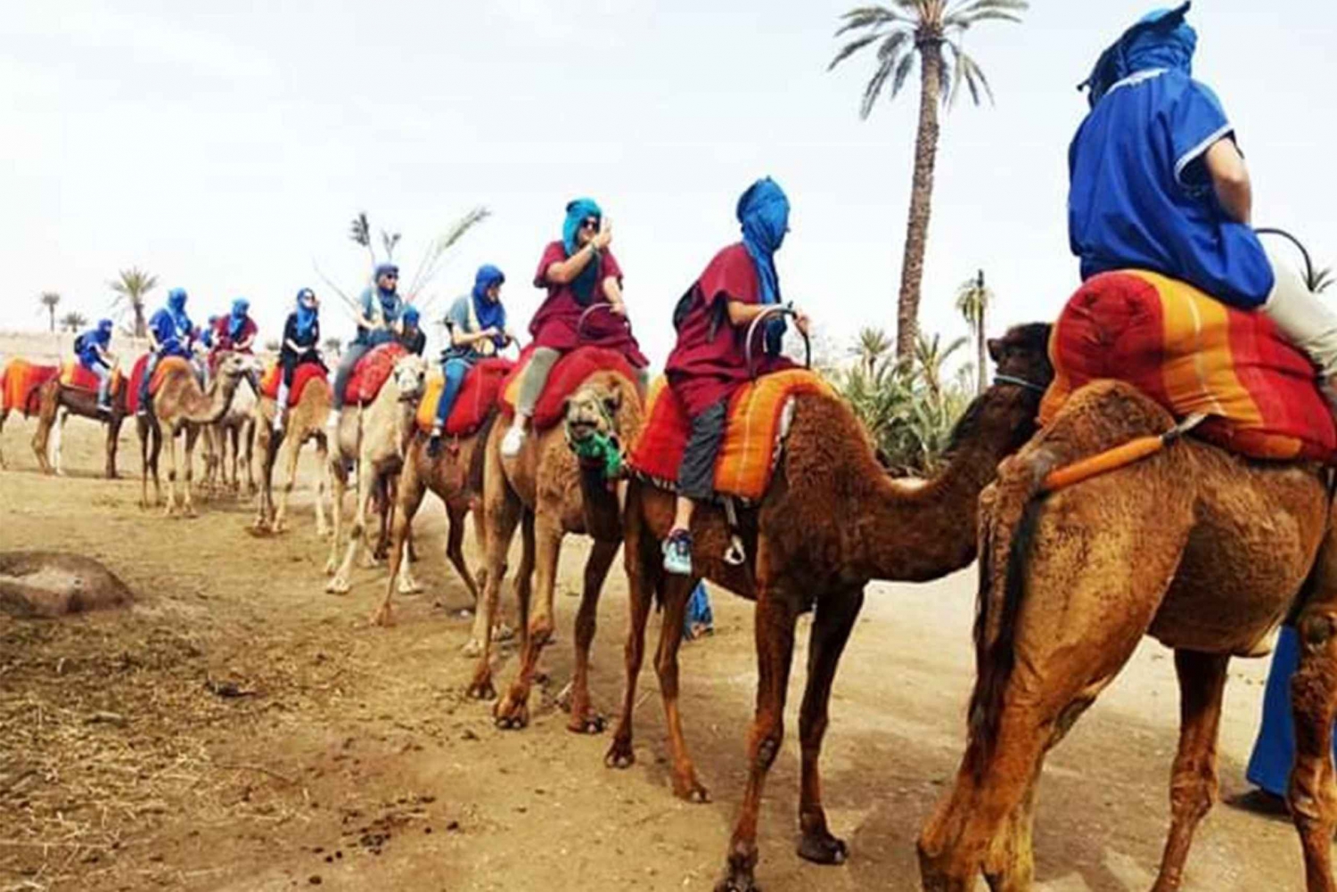 Marrakech: Half-Day Tour with Buggy Ride, Camel Ride and Spa