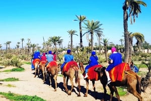 Marrakech: Half-Day Tour with Buggy Ride, Camel Ride and Spa