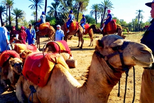 Marrakech: Half-Day Tour with Buggy Ride, Camel Ride and Spa