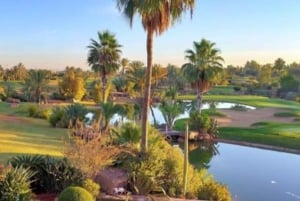 マラケシュ：ハマム、マッサージ、グルメ体験