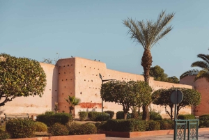 Les joyaux cachés de Marrakech : visite guidée vintage en side-car d'une heure et demie