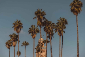 Les joyaux cachés de Marrakech : visite guidée vintage en side-car d'une heure et demie