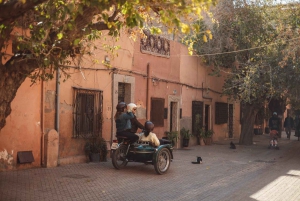 Les joyaux cachés de Marrakech : visite guidée vintage en side-car d'une heure et demie