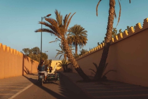 Les joyaux cachés de Marrakech : visite guidée vintage en side-car d'une heure et demie