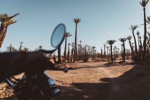 Les joyaux cachés de Marrakech : visite guidée vintage en side-car d'une heure et demie