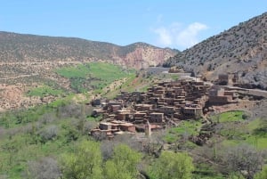 Marrakech - en resa Höga Atlasbergen, dalar och vattenfall Tour