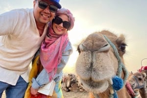 Marrakech - en resa Höga Atlasbergen, dalar och vattenfall Tour