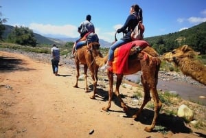 Marrakech - en resa Höga Atlasbergen, dalar och vattenfall Tour