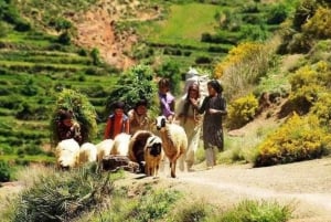 Marrakesz: Wycieczka po górach Atlasu Wysokiego, dolinach i wodospadach